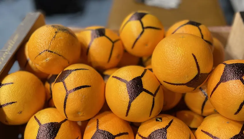 nott oranges